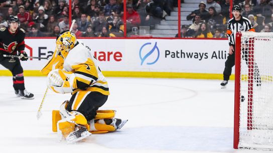 Freeze Frame: At least these OTs are now both painful and quick taken in Ottawa (Penguins)